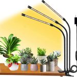Rubans LED pour plantes